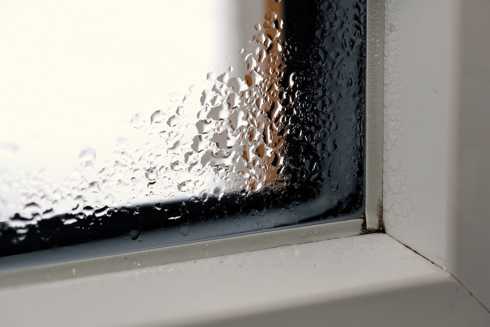 Image of a window with condensation and mold.